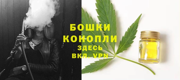 apvp Аркадак