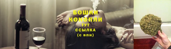 стаф Гусев