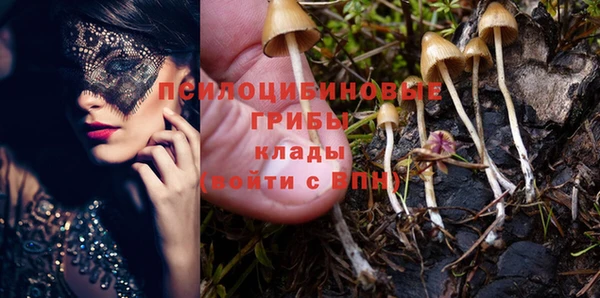 трава Балахна