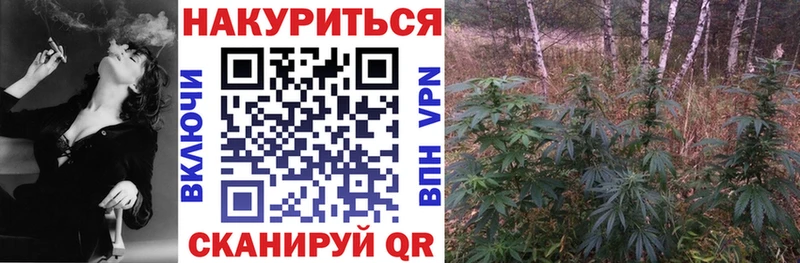 Бошки марихуана VHQ  Нестеров 
